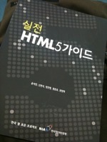 실전 HTML5 가이드 표지